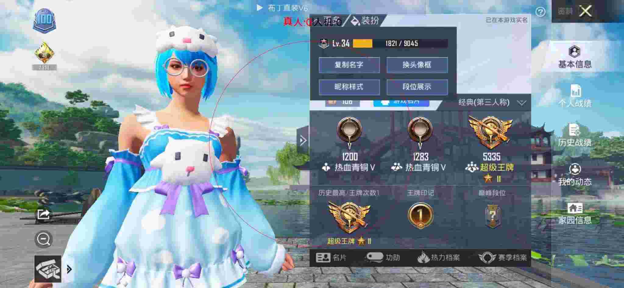 和平精英布丁直装透视 - 和平精英-和平辅助 gif辅助预览图